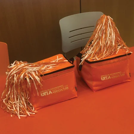 Two orange cooler bags with white and orange pom poms on a table