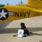 Hero Dogs, Recipient