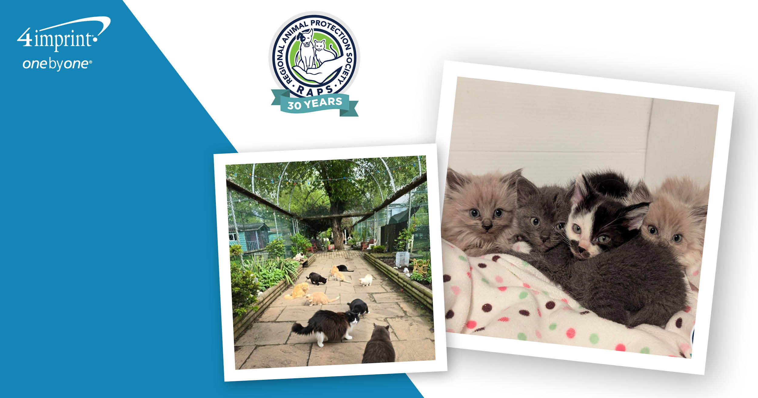 Regional Animal Protection Society – one by one® – Canada | one by one ...