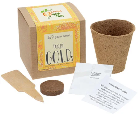 logoed growable planter kit