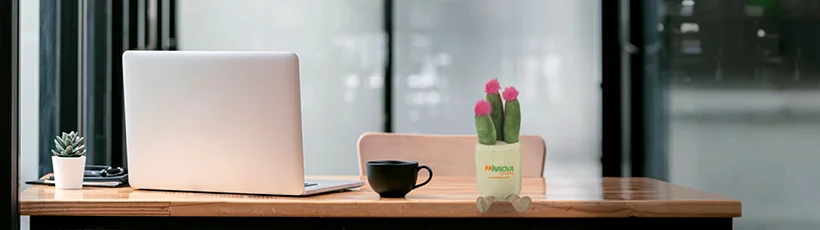 A cactus in a pot on a desk