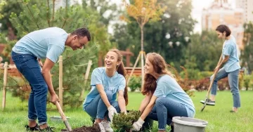Three volunteers in the park planting a tree.