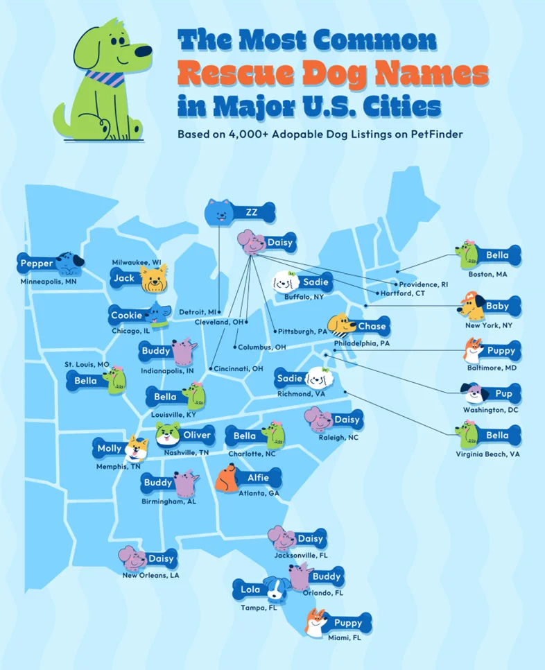 Eastern U.S. map highlighting the most popular dog names