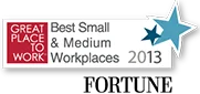 Great Place to work for small and medium workplaces 2013